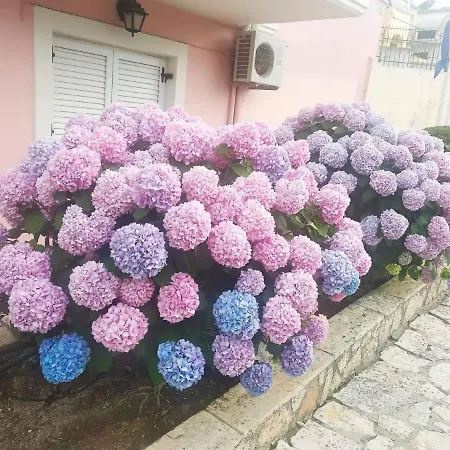 Appart hôtel Cha Nanakas Village Potamós