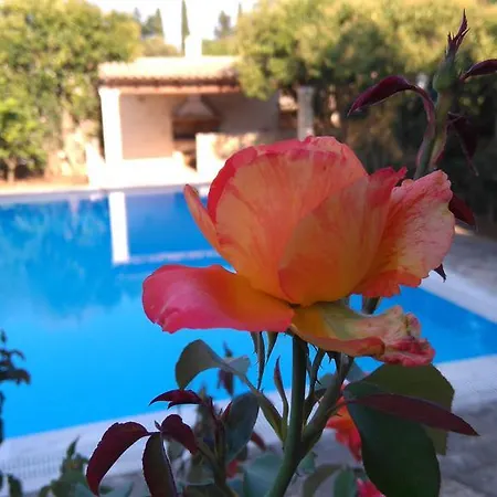 Cha Nanakas Village Апарт-отель Potamos (Corfu)