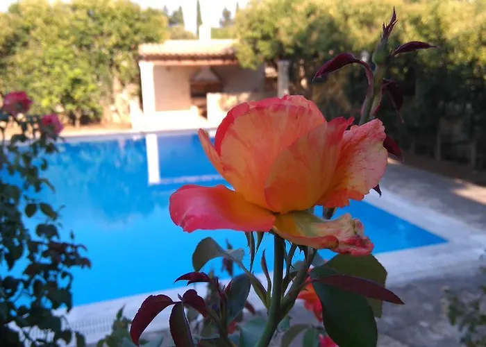 Cha Nanakas Village Апарт-отель Potamos (Corfu)